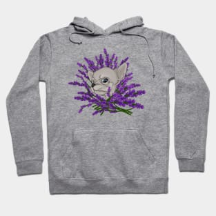 Chihuahua with lavender Hoodie